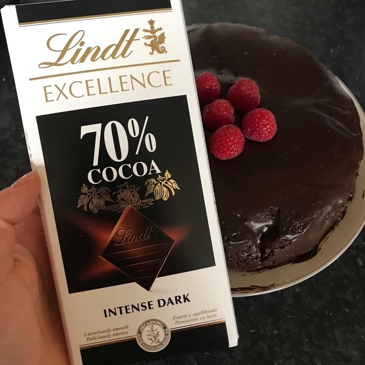 Lindt 70 Cocoa Dark Chocolate Excellence Bar Review abillion