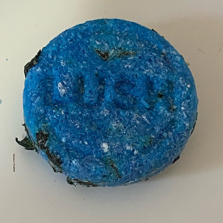 LUSH Fresh Handmade Cosmetics Seanik Shampoo Bar Review abillion