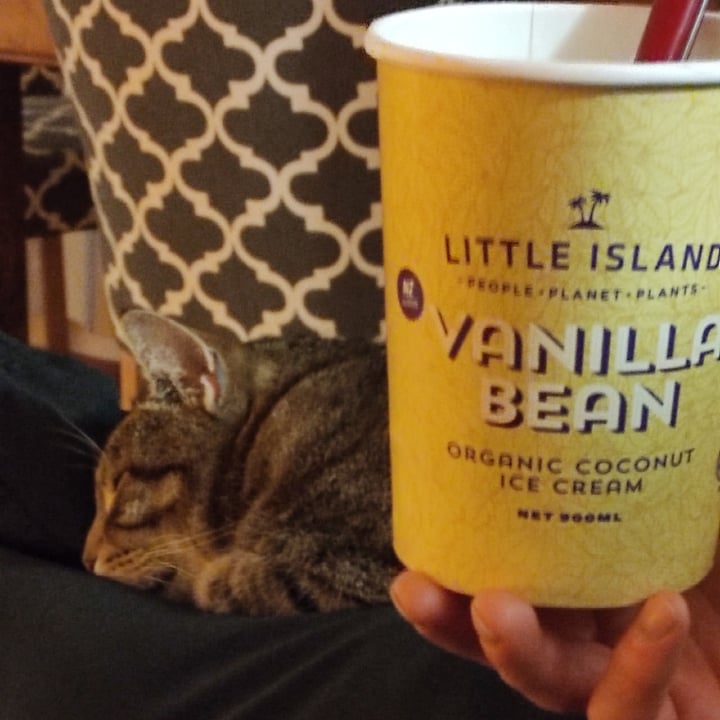 Little Island Coconut Creamery Vanilla Bean Organic Coconut Ice Cream