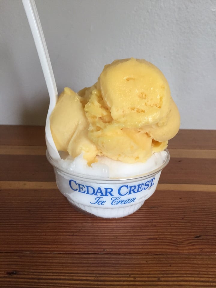 Mabel's Ice Cream Shop Lemon Sorbet Reviews abillion