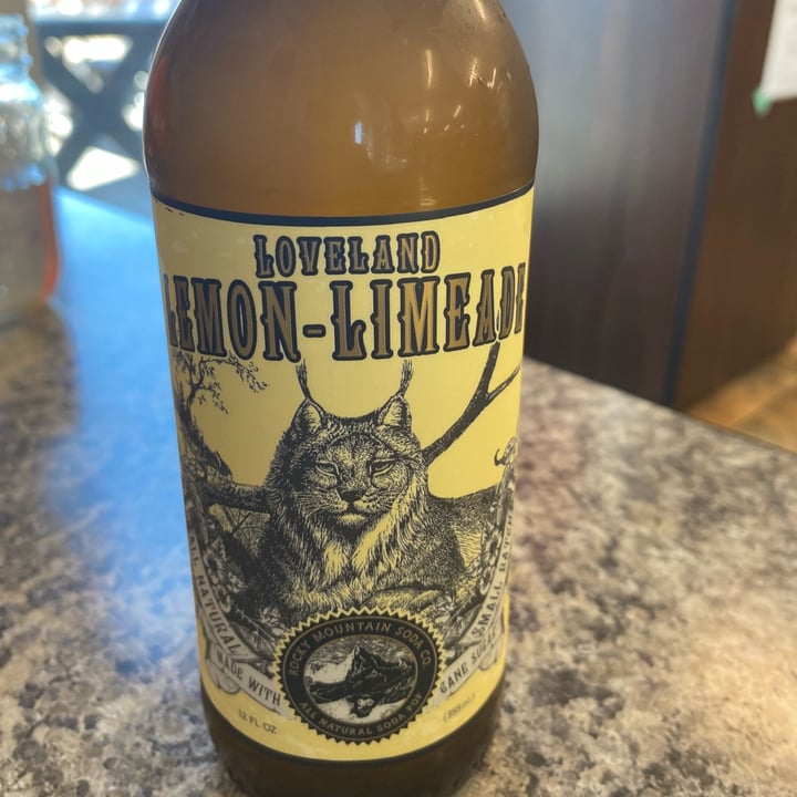 Rocky Mountain Soda Co Loveland Lemon Limonade Review abillion