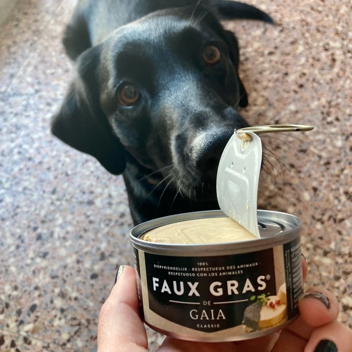 Gaia Faux Gras Reviews abillion
