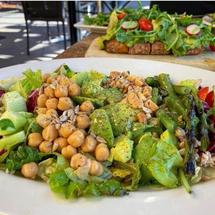 The Cheesecake Factory Northwest Tampa, Tampa, United States Vegan Cobb