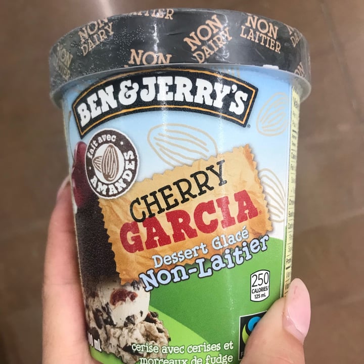 Ben & Jerry's Cherry Garcia NonDairy Frozen Dessert Review abillion