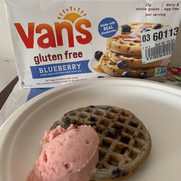 Van's Foods Gluten Free Blueberry Waffles Review | abillion