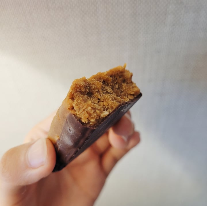 Garden of Life High protein weight loss bar Review abillion