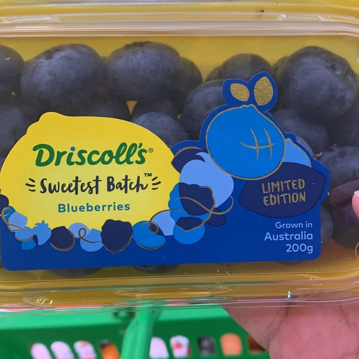 Driscoll’s Sweetest batch blueberries Reviews | abillion