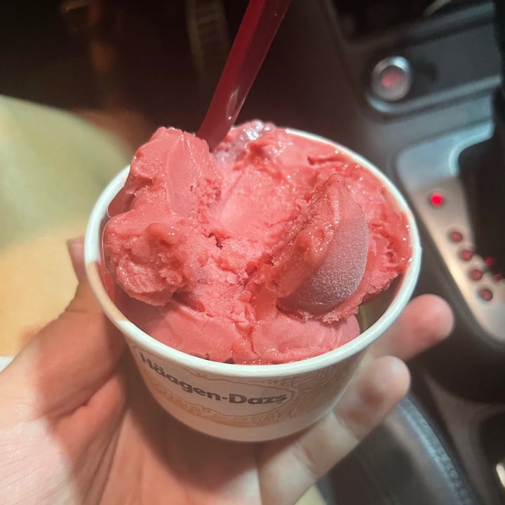 HäagenDazs South Loop District, Bloomington, United States Raspberry