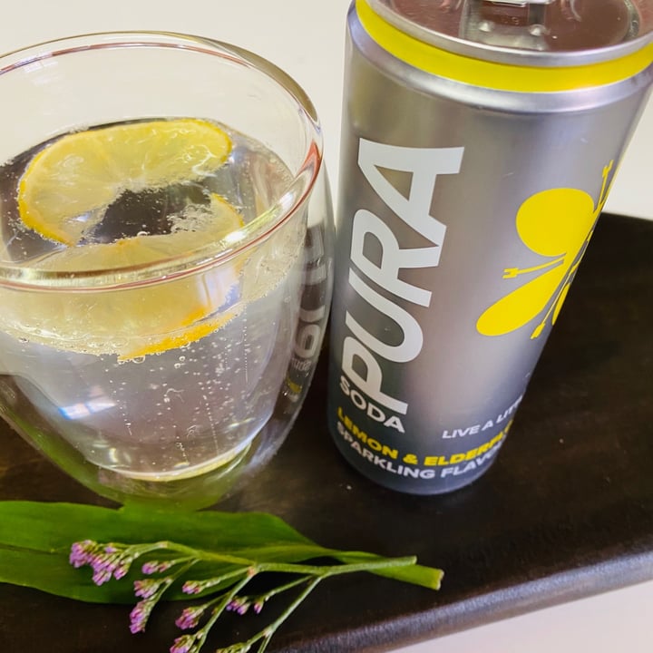 Spar Pura Reviews abillion