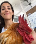 lindajazzyjourney @lindajazzyjourney profile image