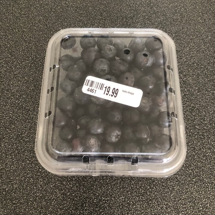 Celtis Ridge Spar Blueberries Review abillion