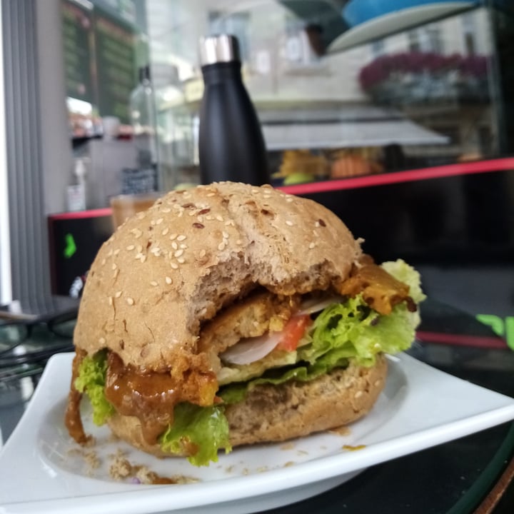 2110 Fast & Healthy Manastiri, North Macedonia Seitan Burger Review
