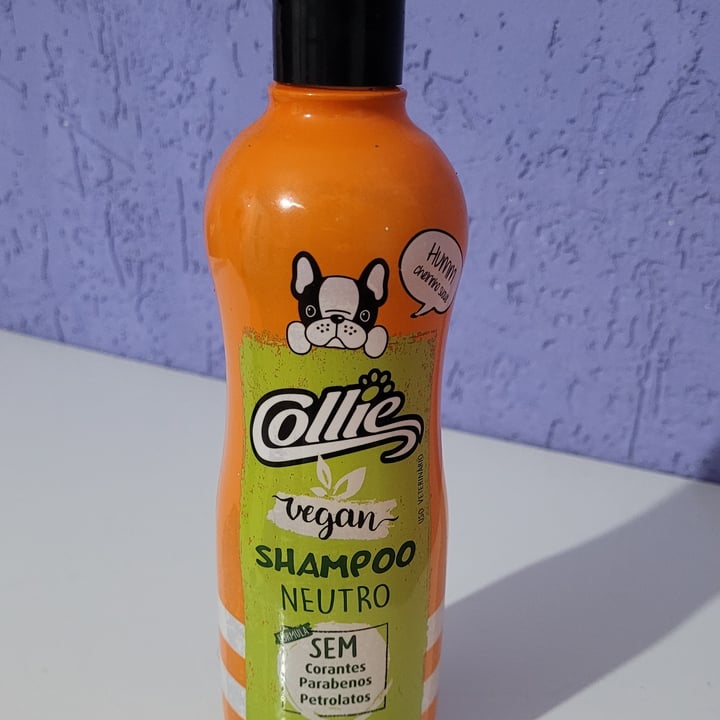 Collie Shampoo neutro Reviews abillion