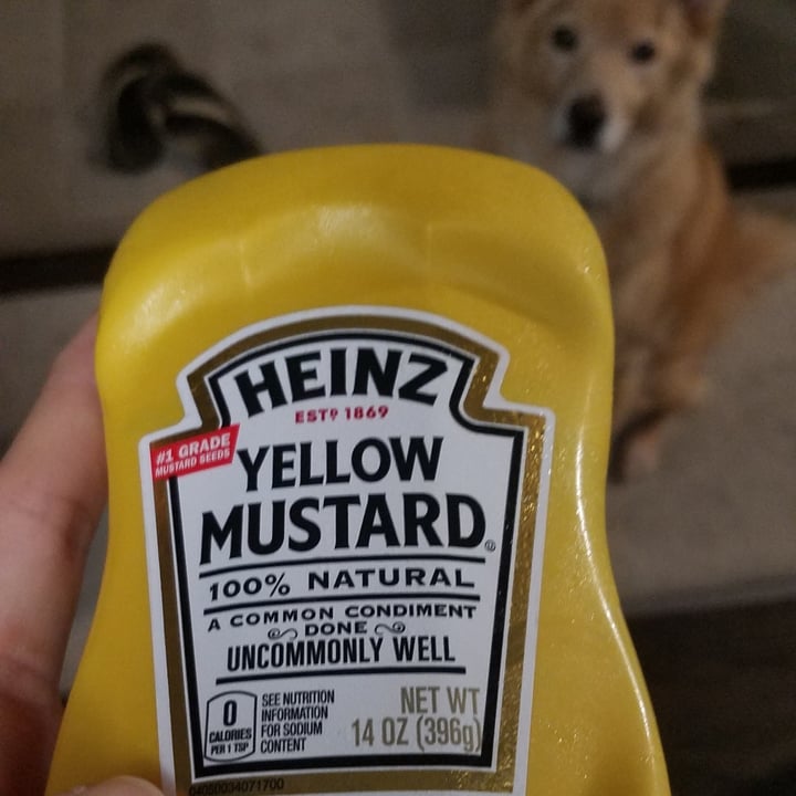 Heinz Yellow Mustard Review abillion