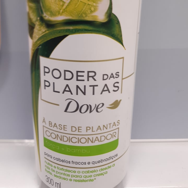Dove Shampoo Poder Das Plantas Bambu Reviews abillion