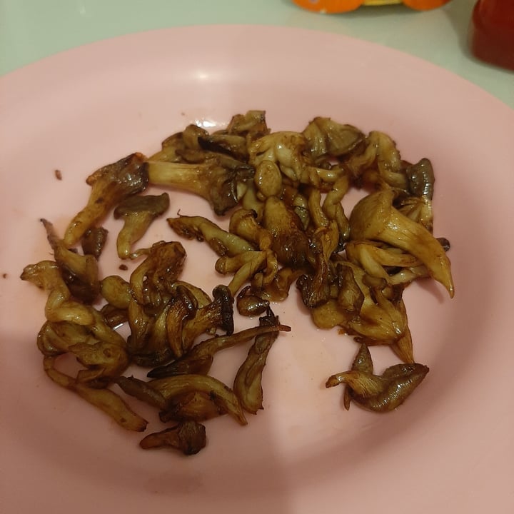 Nature ToGo Shimeji Review abillion