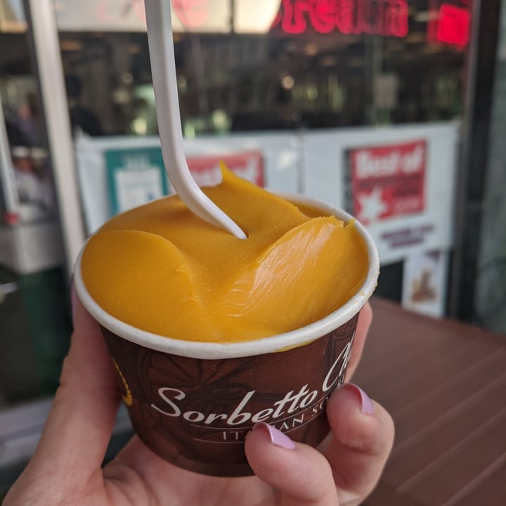 Gelato Classico Italian Ice Cream Mango sorbetto Reviews abillion