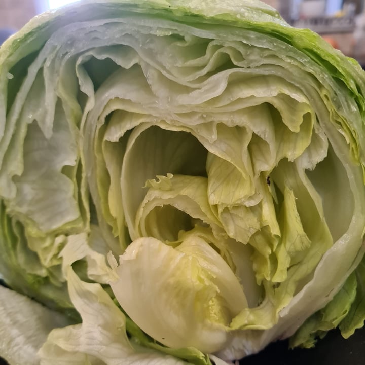 Spar Iceberg Lettuce Head Review abillion