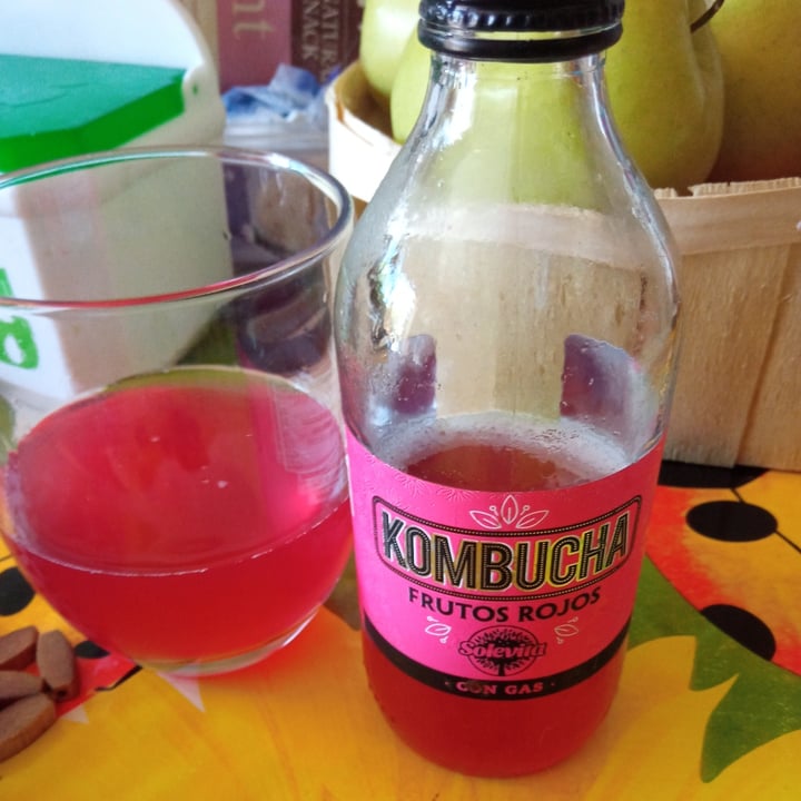 Solevita Bio Kombucha frutos rojos Review abillion
