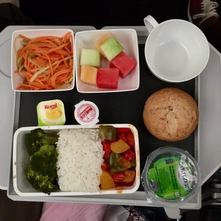 Singapore airlines Vegetarian Oriental Meal Review abillion