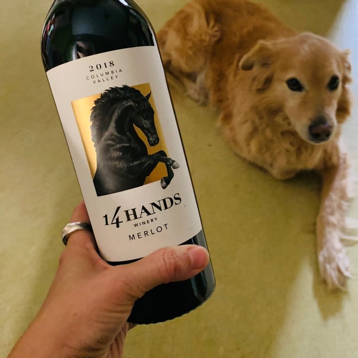 14 Hands Winery Merlot Review abillion