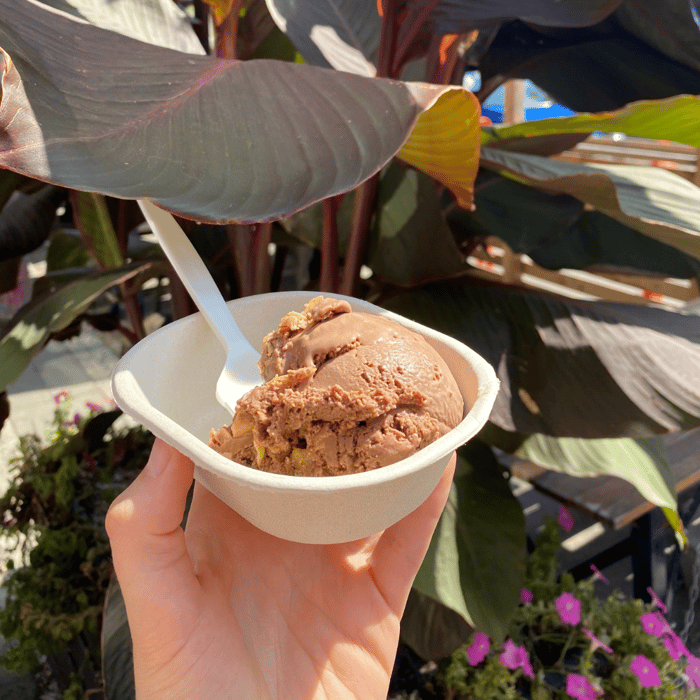 Photo of Chocolate peanut-butter ice cream