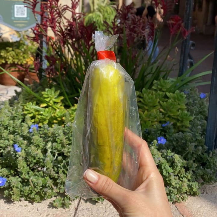 Disneyland Resort Anaheim Resort, Anaheim, United States Pickle Review