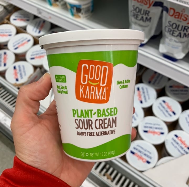 Good Karma Plant Based Sour Cream Review abillion