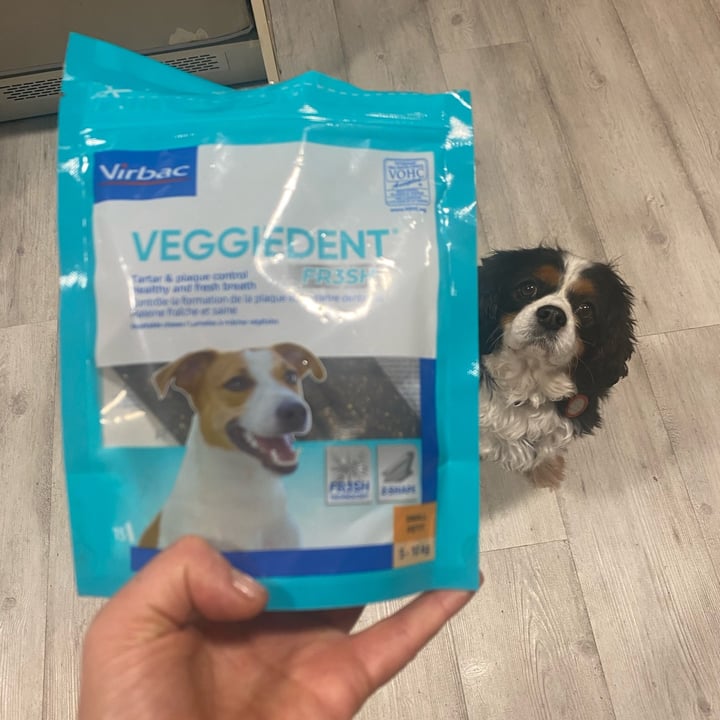 Virbac Veggiedent fr3sh Review abillion