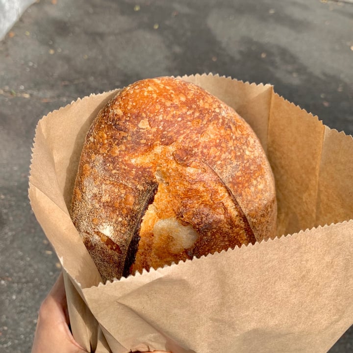 Sprout Artisan Bakery New Farm, Australia Sourdough Review abillion