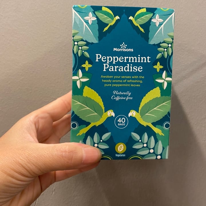 Morrisons Peppermint Paradise Review abillion