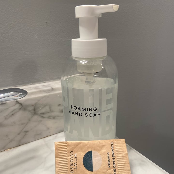 Blueland Hand Soap Review abillion
