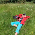 gillhibbitt @gillhibbitt profile image