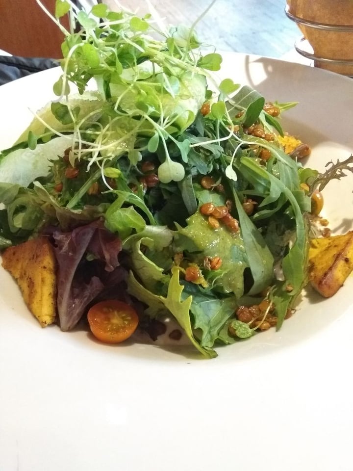 CREPES Y WAFFLES Ensalada Montes de María Reviews abillion
