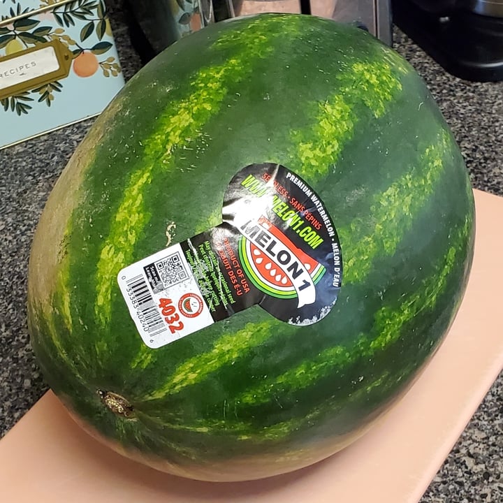 Melon 1 Premium Watermelon Review abillion