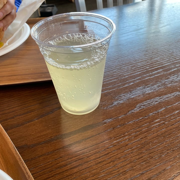 Garbanzo Mediterranean Fresh Certified Organic Lemonade Reviews abillion