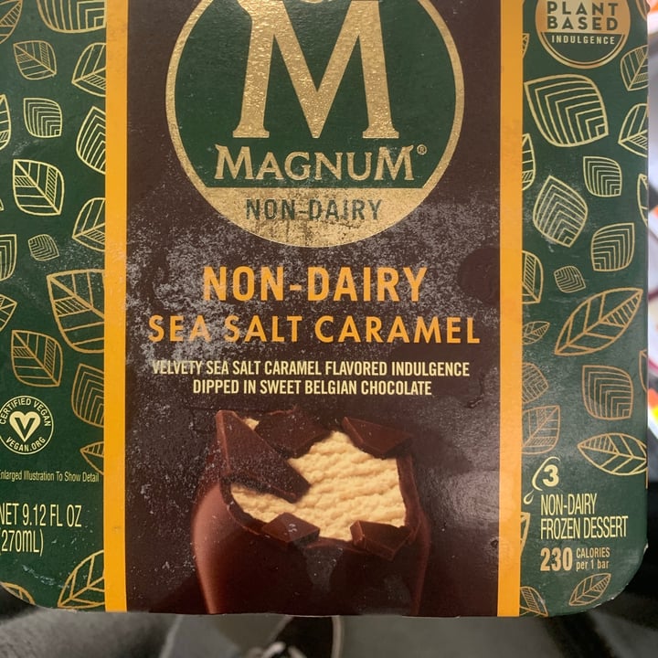 Magnum Dairy Free Sea Salt Caramel Review | abillion