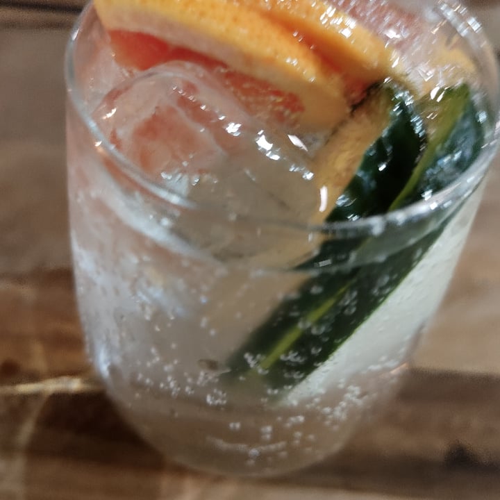 Temple Gin Tonics Pomelo Review abillion