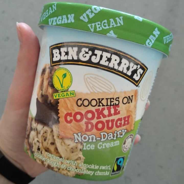 Ben & Jerry's Chocolate Chip Cookie Dough NonDairy Frozen Dessert