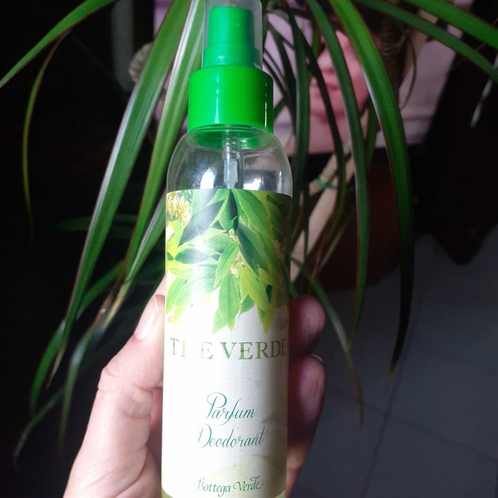 Bottega Verde The verde Review abillion