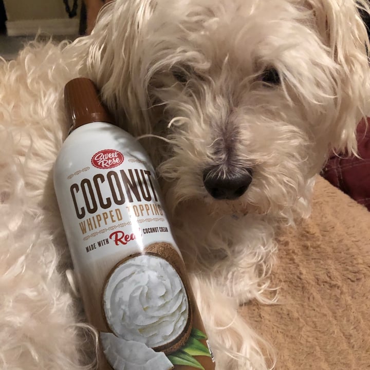 review photo of Sweet Rose Coconut Whipped Topping shared by @mammadogood on 29 Dec 2020 - review