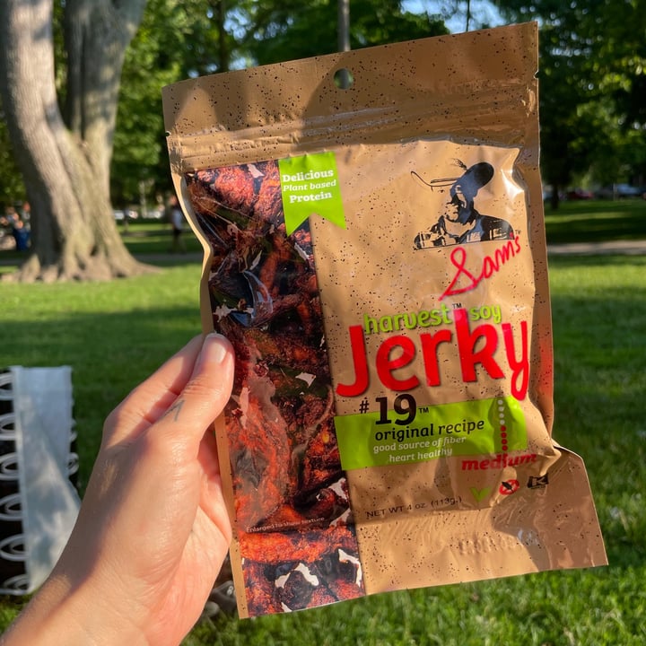 Sam’s Harvest Soy Jerky 19 Original Recipe Review abillion