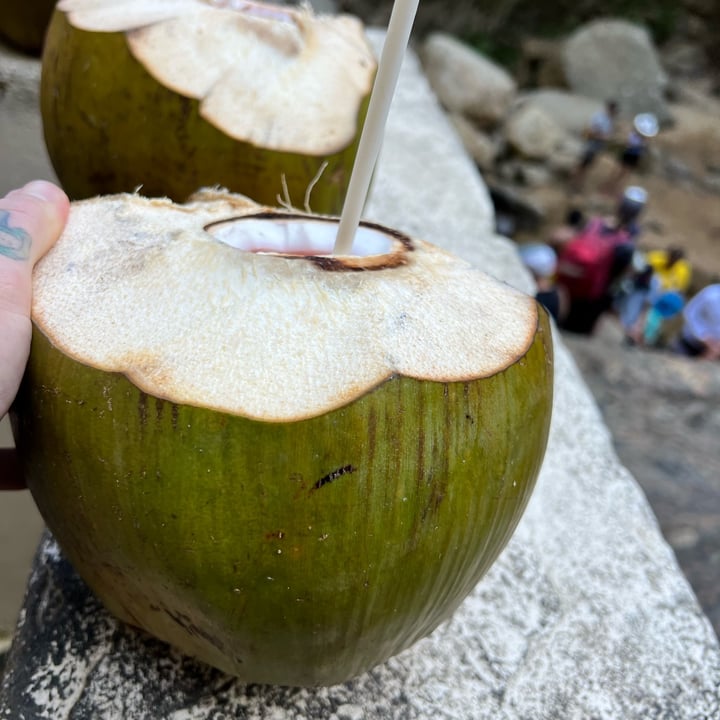 Riverview cafe Yelapa, Mexico Coco Loco Review abillion