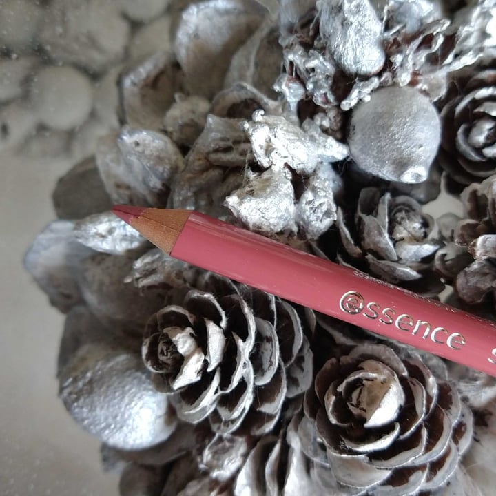 Essence Soft And Precise Lip Liner Review abillion