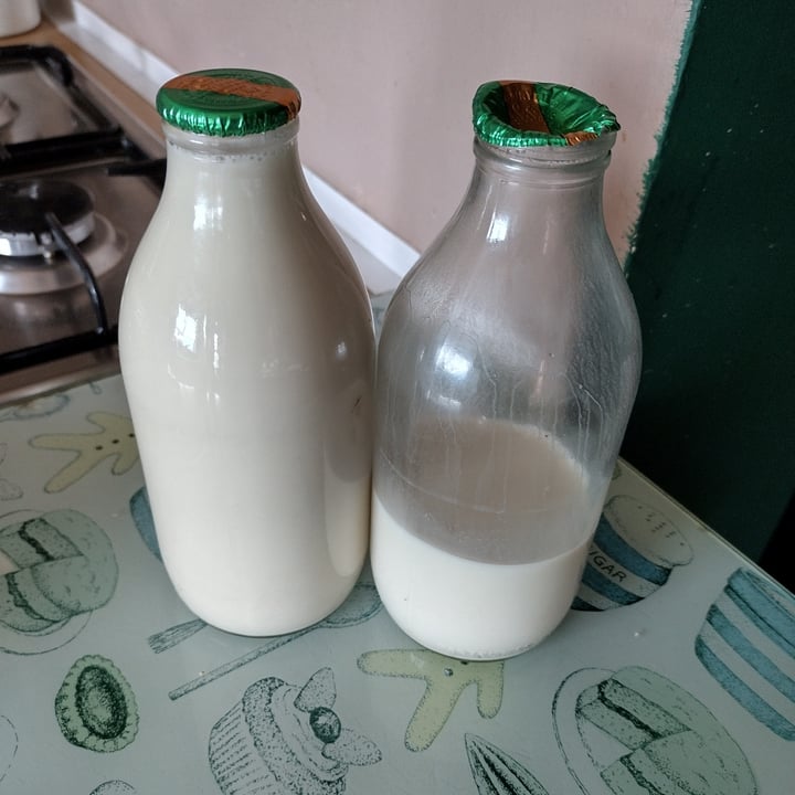 Modern Milkman Oat milk Review abillion