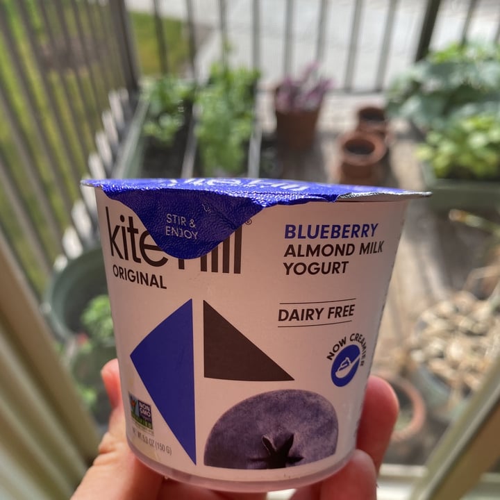 Kite Hill Blueberry Almond Milk Yogurt Review abillion