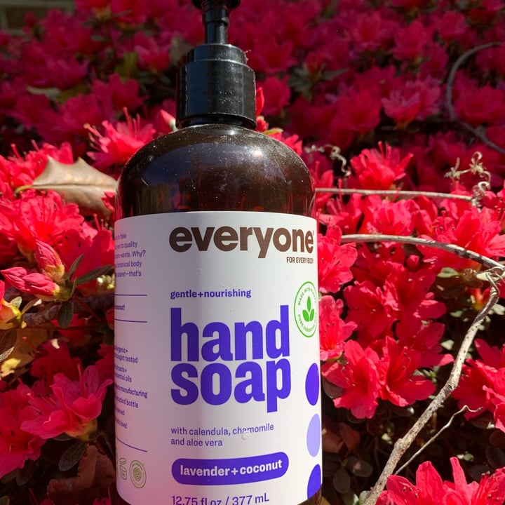 Everyone for Every Body Hand Soap Lavender + Coconut Review abillion