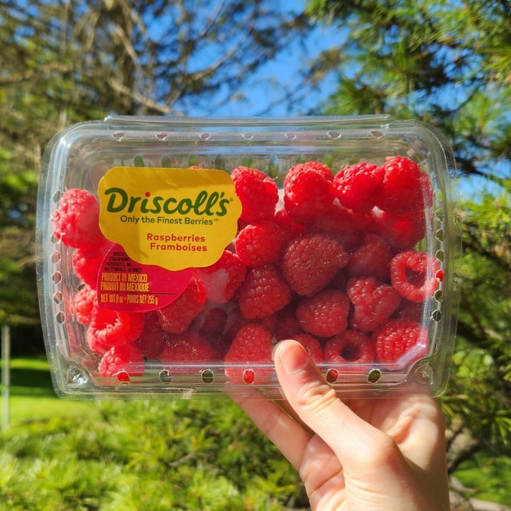Driscoll’s Raspberries Review abillion