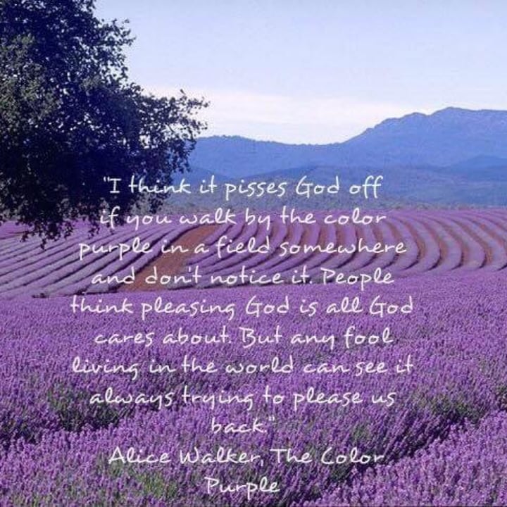 Lavender Hill Farm Reviews Abillion crunch-fitness-cedar-hill-cedar-hill-tx