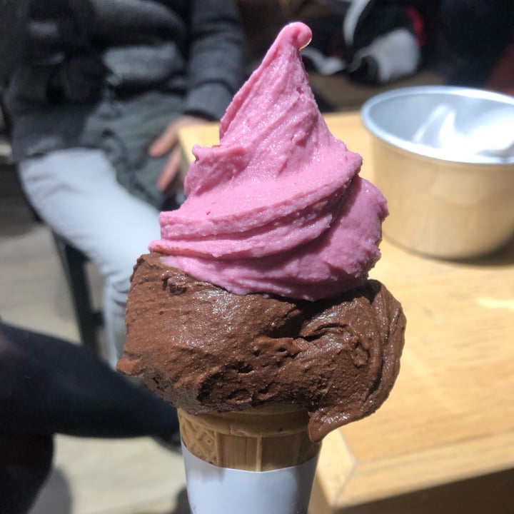 Gelateria La Romana Piacenza, Italy Gelato cioccolato fondente e
